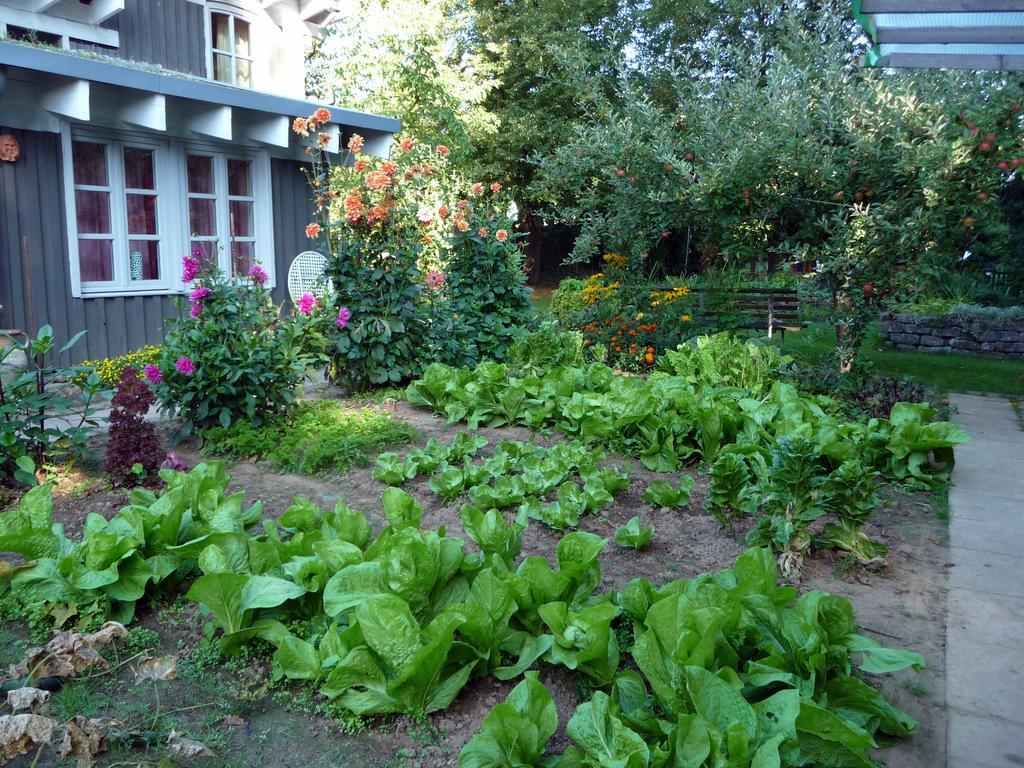 Ferienhaus Gartenlust Dierdorf Номер фото